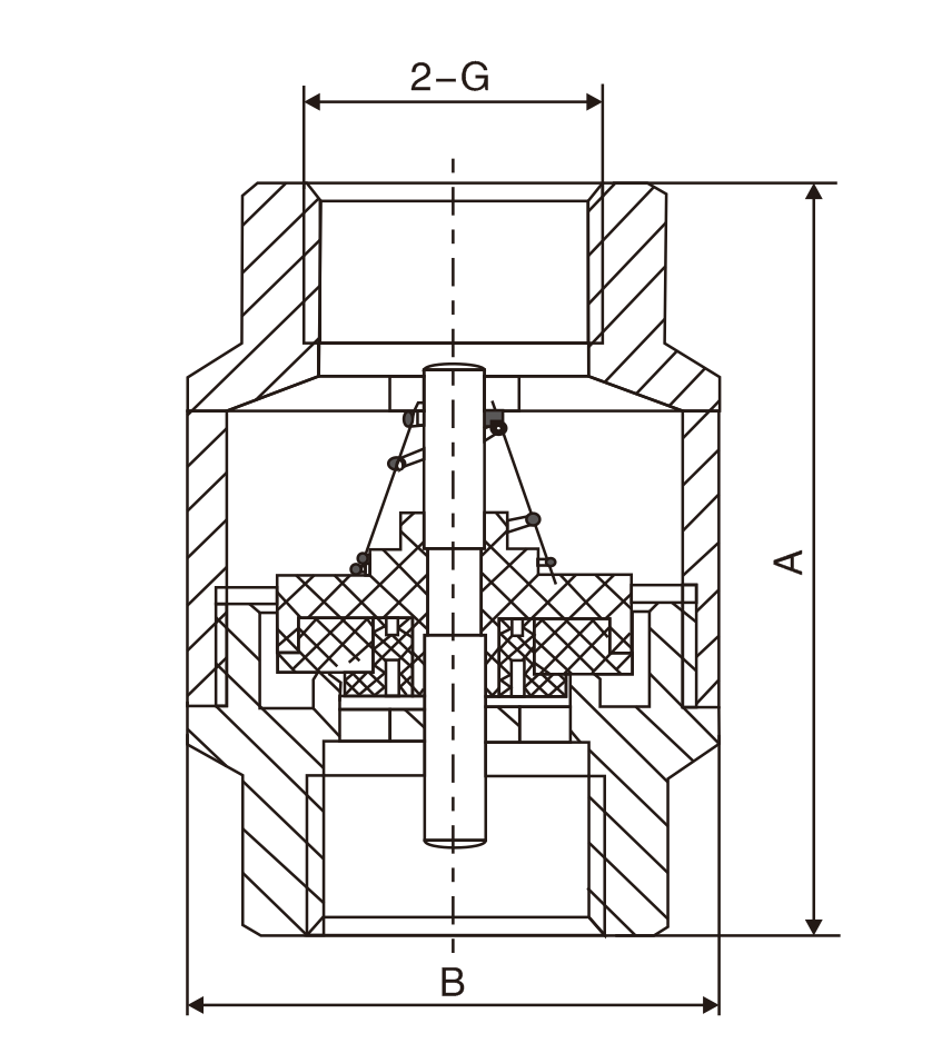 黃銅立式止(zhi)回閥(圖1)