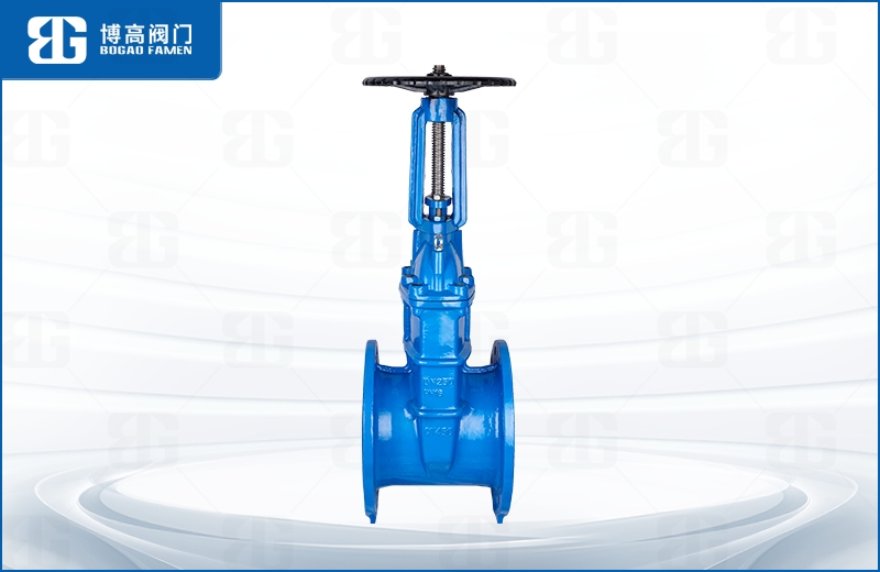 明(ming)杆彈性座(zuò)封閘閥